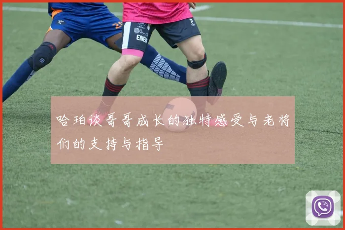 哈珀谈哥哥成长的独特感受与老将们的支持与指导