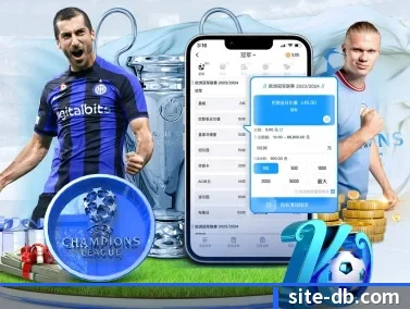 DB体育 APP
